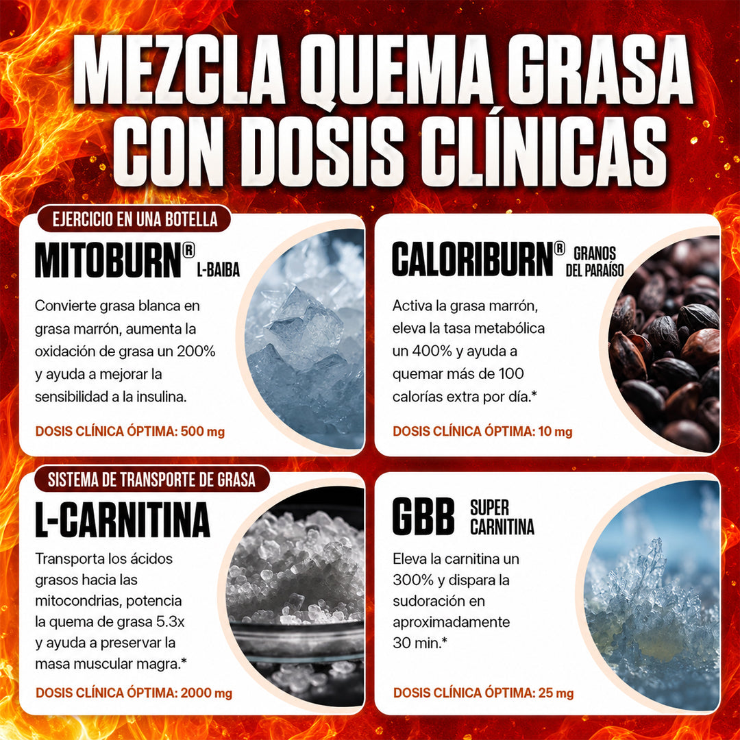 Quemador líquido sin cafeína | Convertí cada entrenamiento en una rutina quema grasa