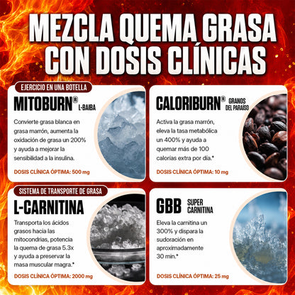 Quemador líquido sin cafeína | Convertí cada entrenamiento en una rutina quema grasa
